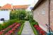 Tuin